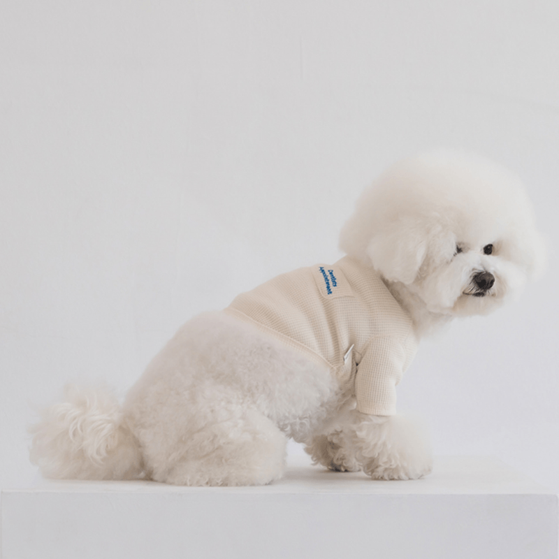 Waffle Crop Tee - Ivory Clothing Dentists Appointment