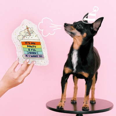 Cut My Cake Into Pieces - Eco-friendly Dog Toy Toy Dirt & Dog Hair