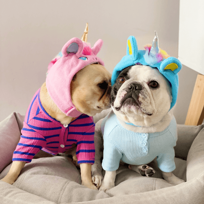 Unicorn hat best sale for dogs