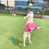 Original Zanies Small Latex Ball Dog Toys - Set of 6 Toy Zanies