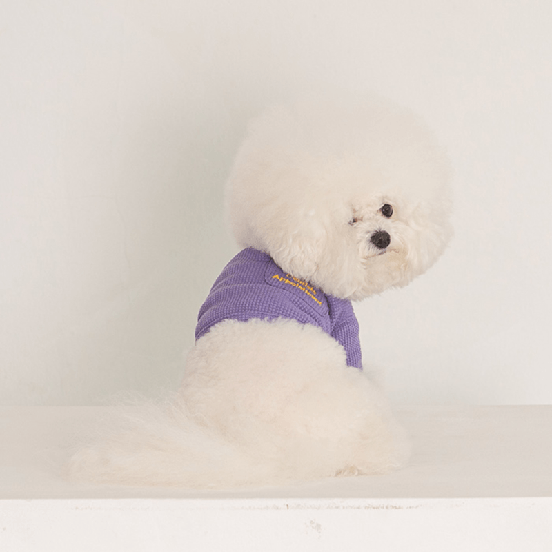 Waffle Crop Tee - Purple Clothing Dentists Appointment