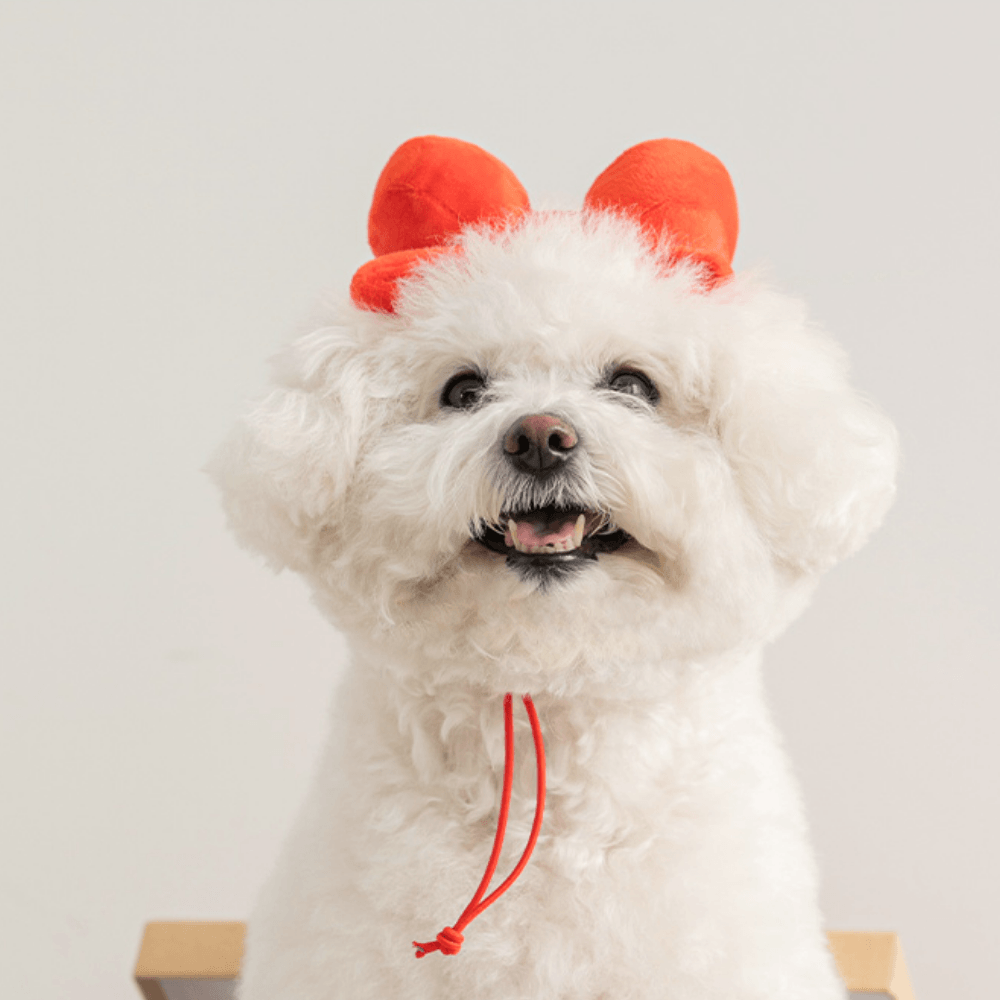 Ribbon Party Hat and Toy (2 in 1!) Toy Bite Me
