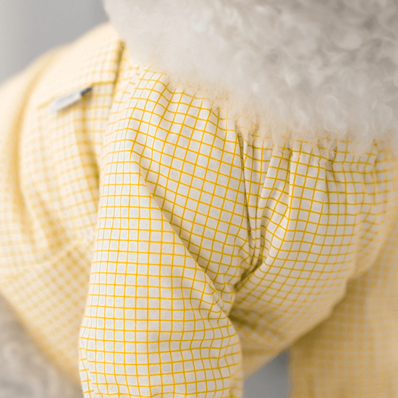 Pumpkin Crop Top - Yellow Clothing Dentists Appointment