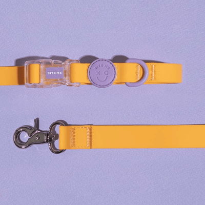 Macaron Waterproof Collar and Leash Set (4 Colors) Collar Bite Me Butter (Yellow) S