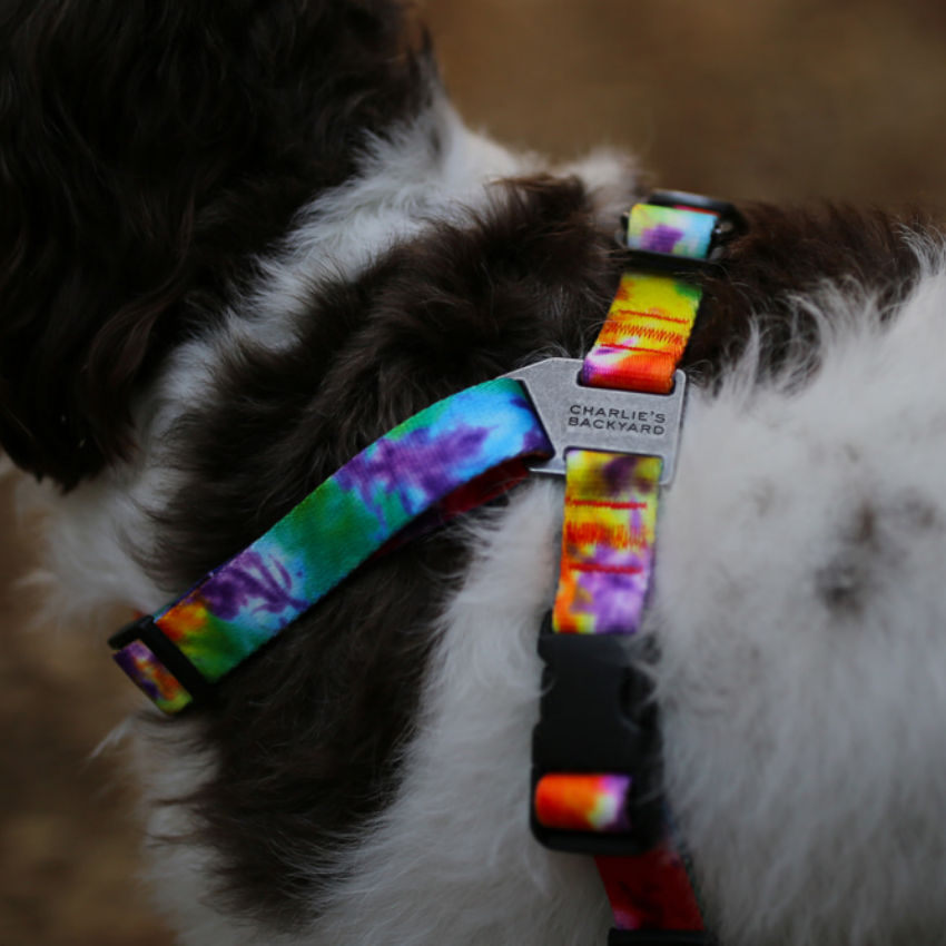 Rover Harness Harness Charlie's Backyard