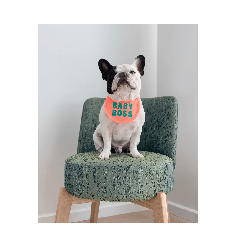 Baby Boss Bib Bandana Hey Jerry