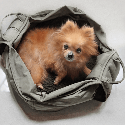 OLLA - Dog Carrier  Pet Carrier – Lambwolf Collective