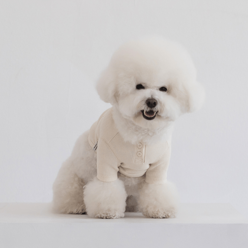 Waffle Crop Tee - Ivory Clothing Dentists Appointment