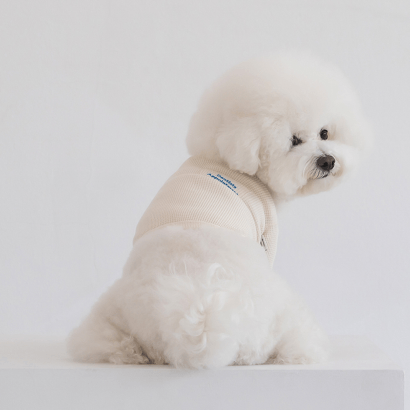 Waffle Crop Tee - Ivory Clothing Dentists Appointment