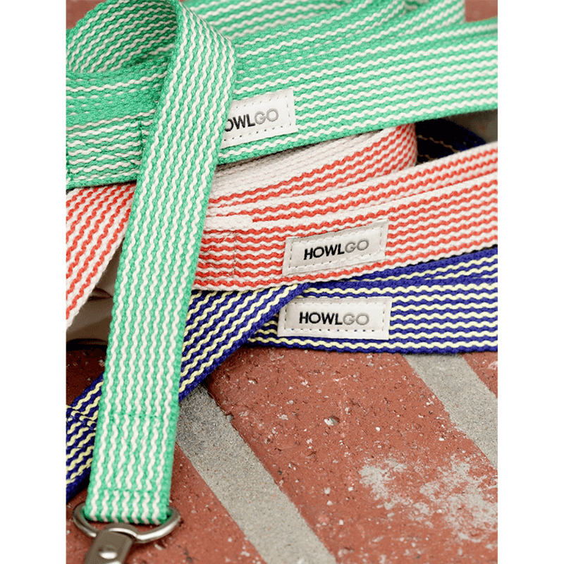 HowlGo Basic Standard Leash (Size Small) - Green Leash Howlpot