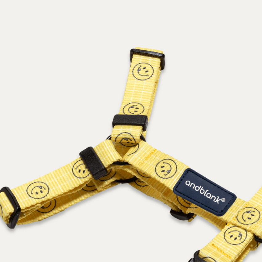 Smiley Face Dog Harness - Yellow Harness Andblank