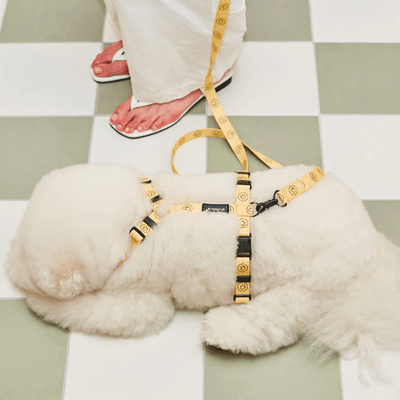 Smiley Face Dog Harness - Yellow Harness Andblank