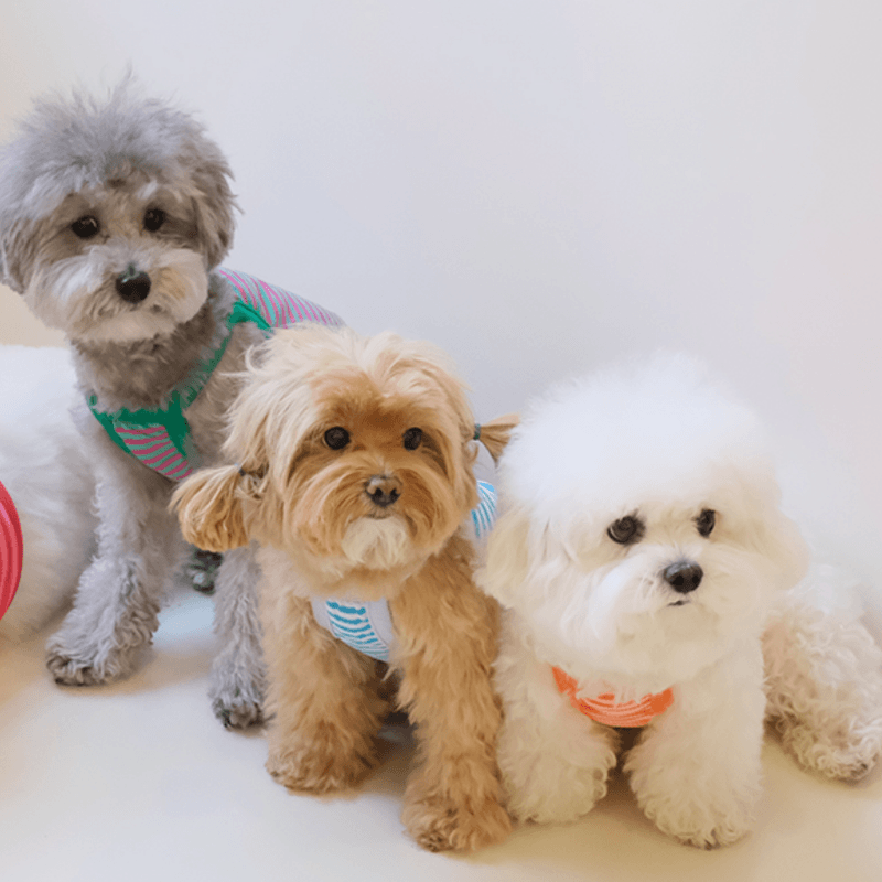 Cool Slush Crop Tank Top - Orange Cream (Orange) Clothing Hey Jerry