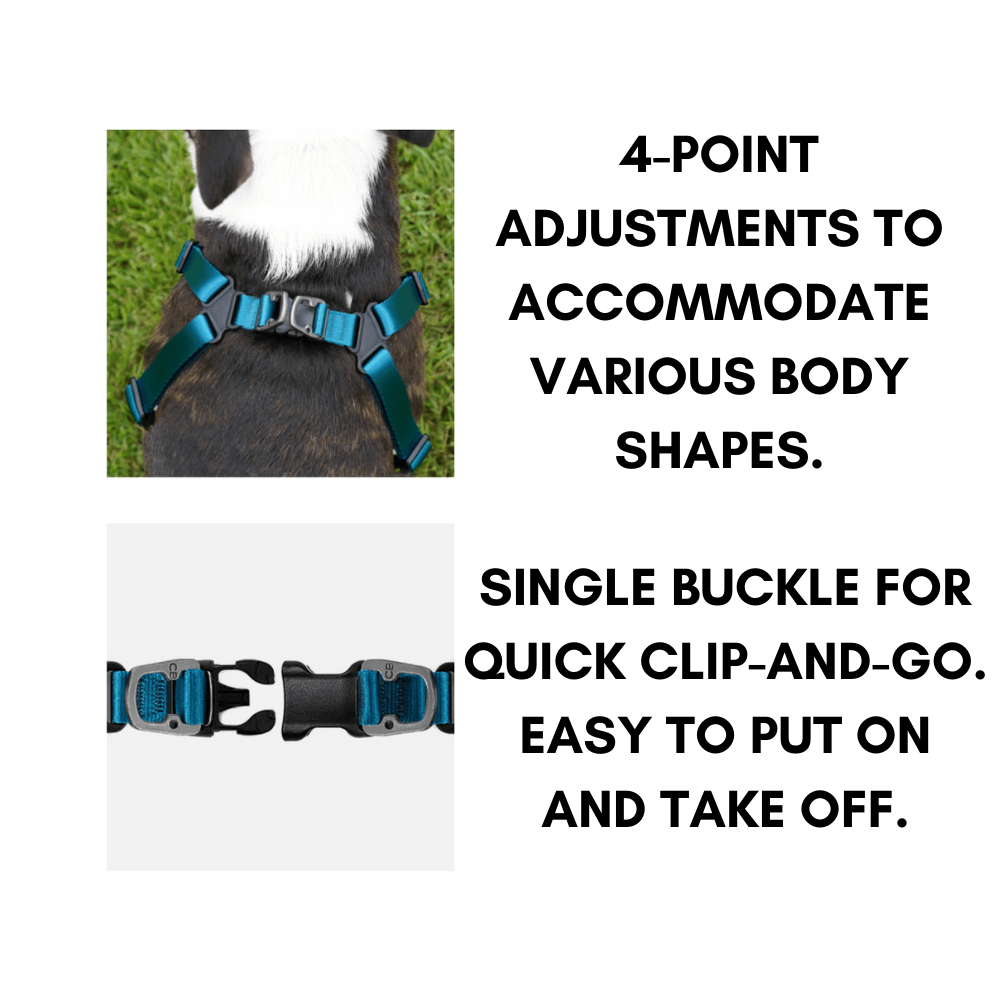 4 point dog clearance harness