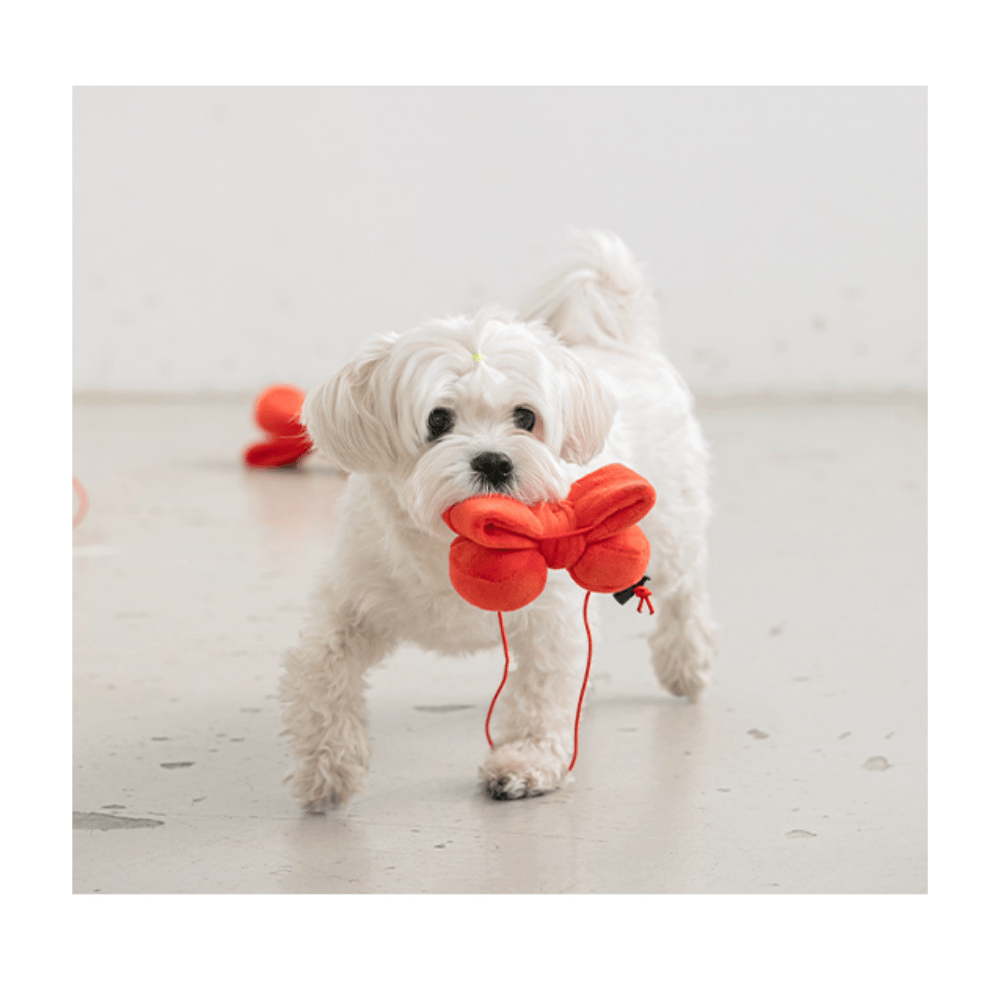 Ribbon Party Hat and Toy (2 in 1!) Toy Bite Me