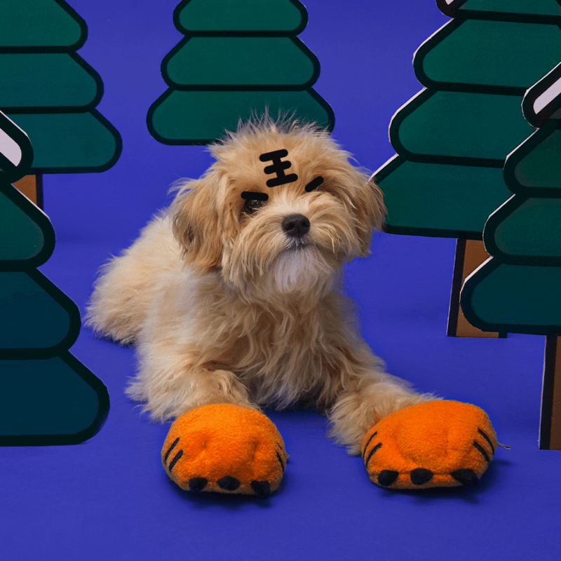 Tiger Paw Slippers Dog Toy Toy BACONBOX