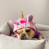 Unicorn Dog Hat - Pink Accessories Dogo