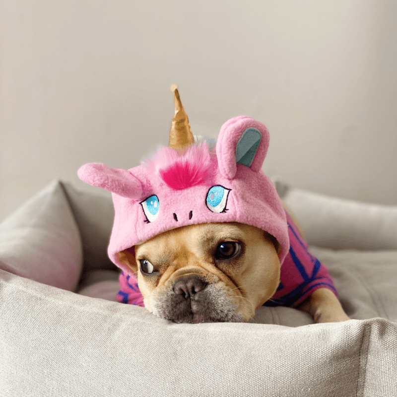 Unicorn headband for outlet dogs