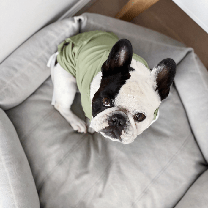 Hooded Anorak - Pink Clothing Small Stuff