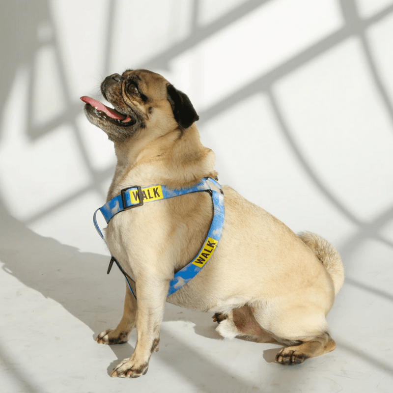 Le Sport Harness - Walk Harness Saint Rue