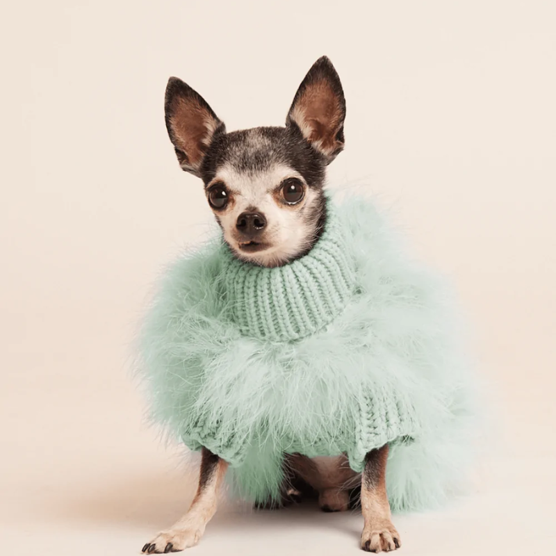 Christian Cowan x Maxbone Jumper - Mint Clothing Max-Bone 