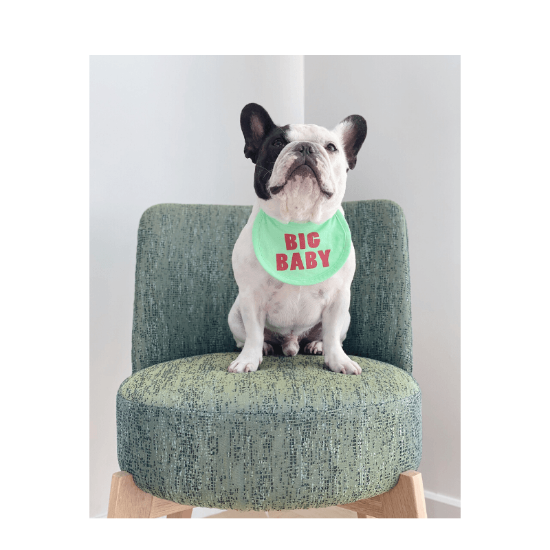 Big Baby Bib Bandana Hey Jerry