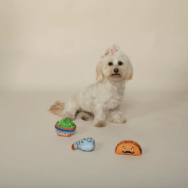 Broccoli Interactive Nose Work Dog Toy - Spotted By Humphrey