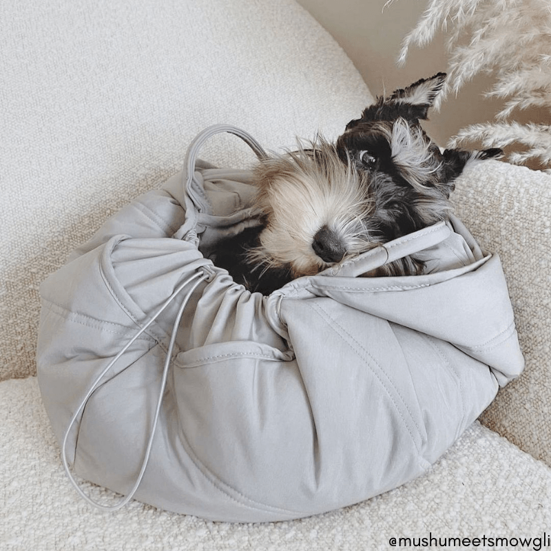 Dog 2024 sling bed
