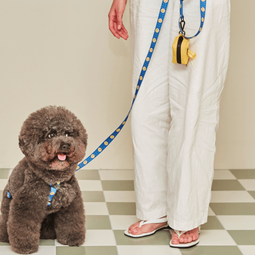 Smiley Face Dog Harness - Blue Harness Andblank