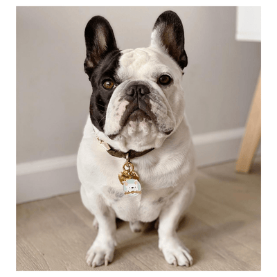 Frenchie Branch Manager ID Tag (Free Custom Engraving!) Charms SBH X Two Tails