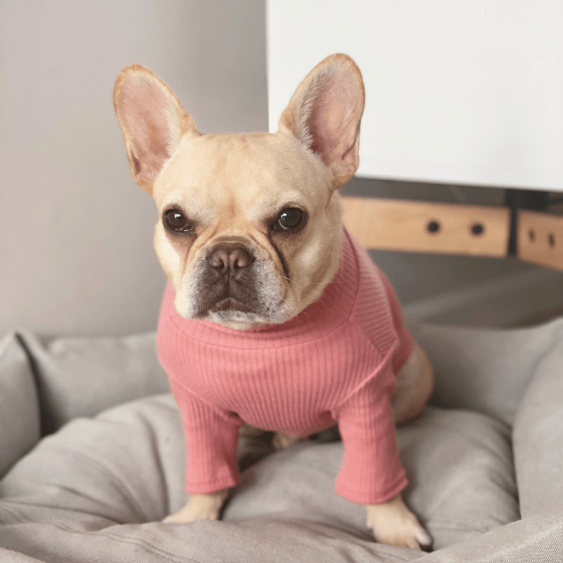 Ribbed Turtleneck Shirt - Pink Clothing Small Stuff