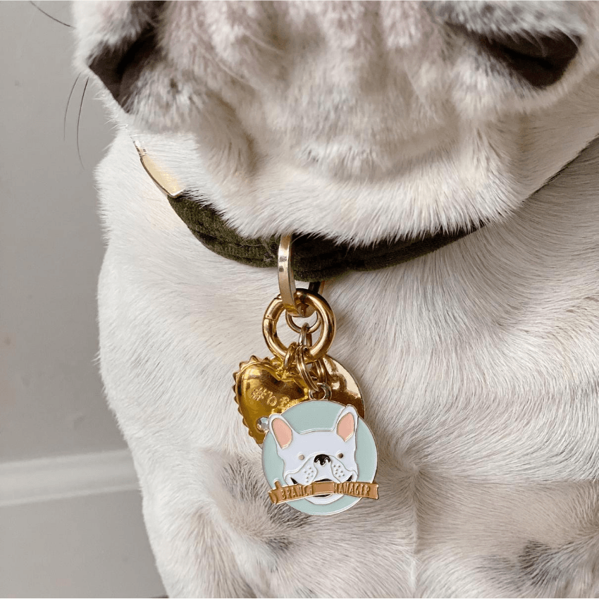 Frenchie id tag best sale