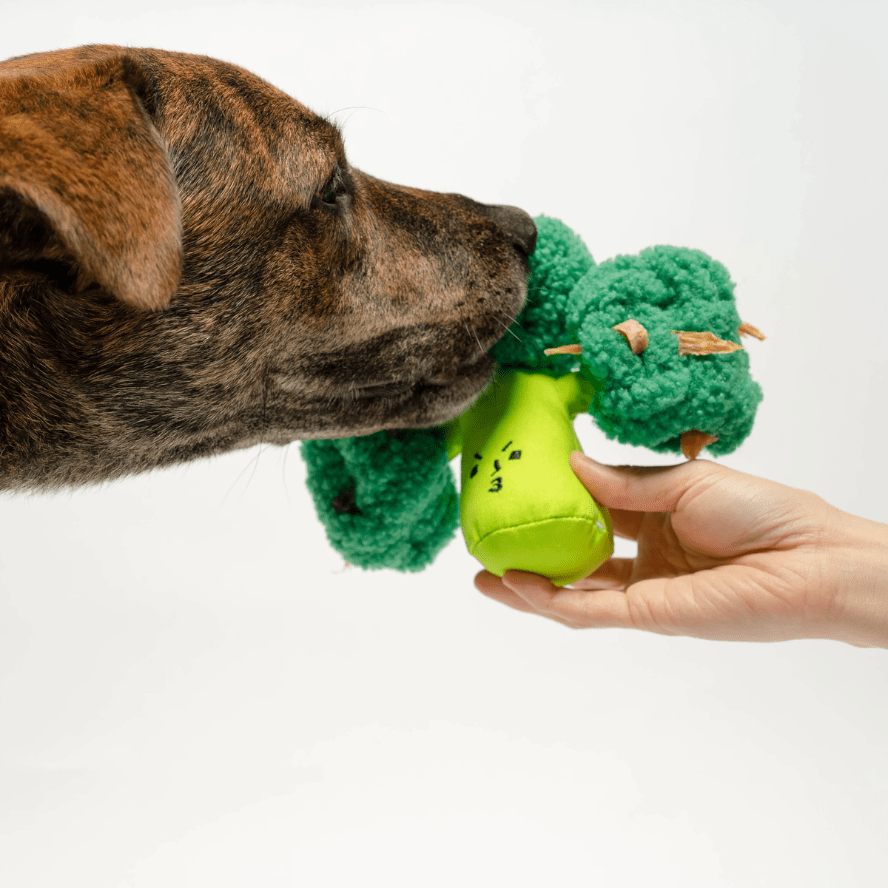 Broccoli Interactive Nose Work Dog Toy Toy The Furryfolks 