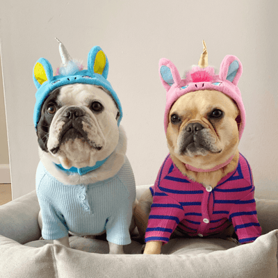 Unicorn Dog Hat - Blue Accessories Dogo