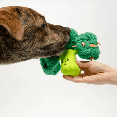 Broccoli Nose Work Toy + Bac N Nutty Training Bites Treats (Bundle and Save!) Toy Spotted By Humphrey