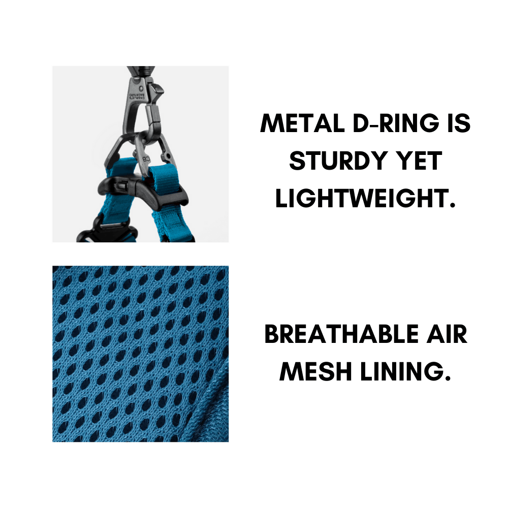 Comfort Harness - Brown Harness Charlie's Backyard