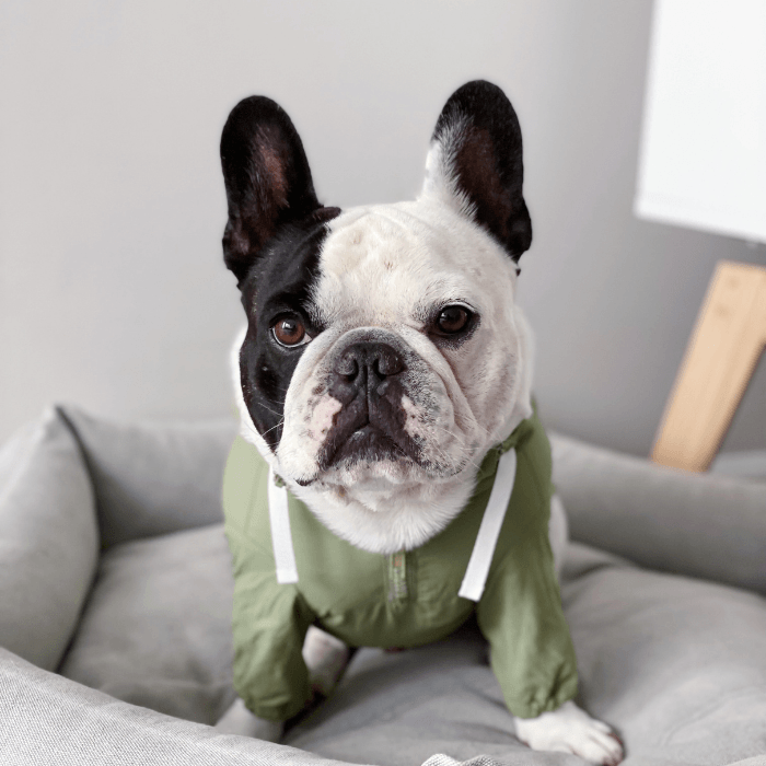 Hooded Anorak - Pink Clothing Small Stuff