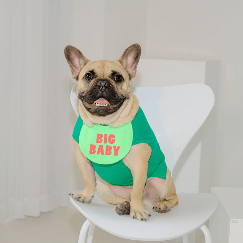 Big Baby Bib Bandana Hey Jerry