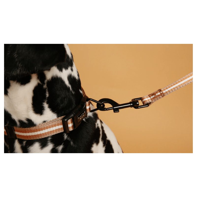 Le Luxe Dog Collar - Café Au Lait Collar Saint Rue