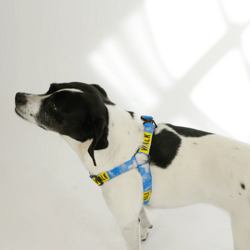 Le Sport Harness - Walk Harness Saint Rue