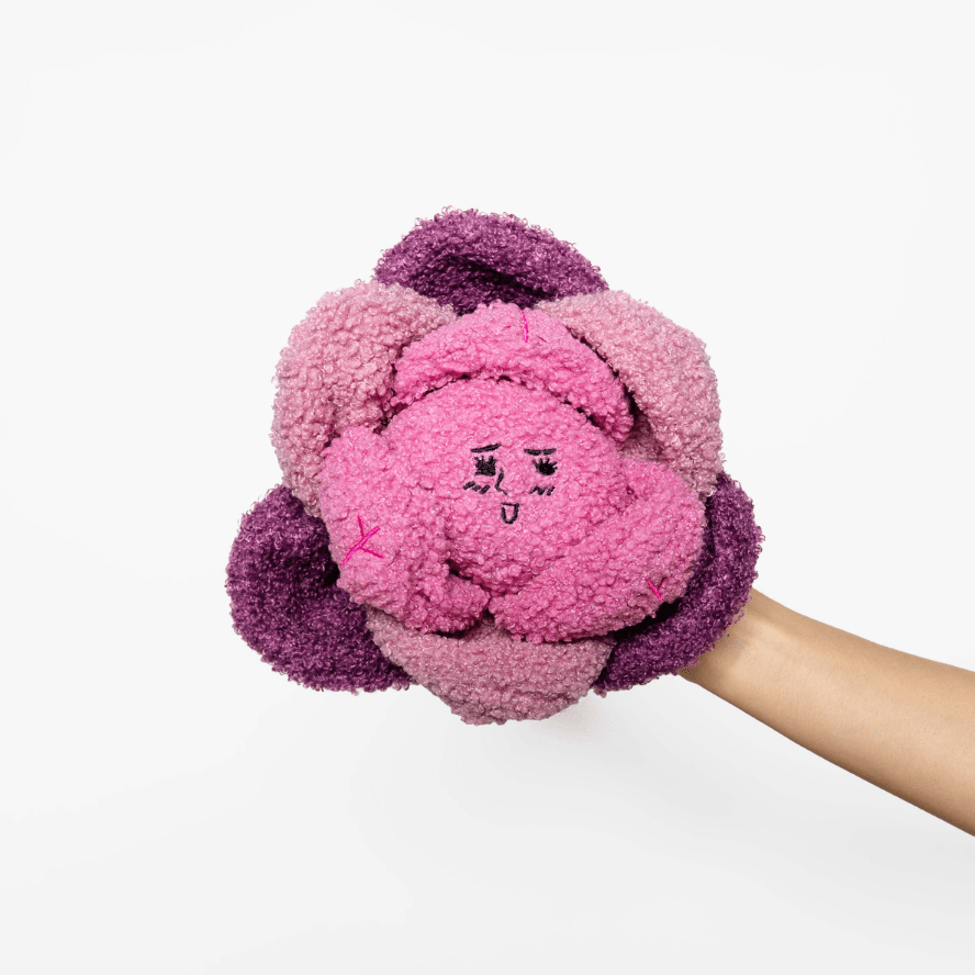 Red Cabbage Interactive Nose Work Dog Toy - Spotted By Humphrey