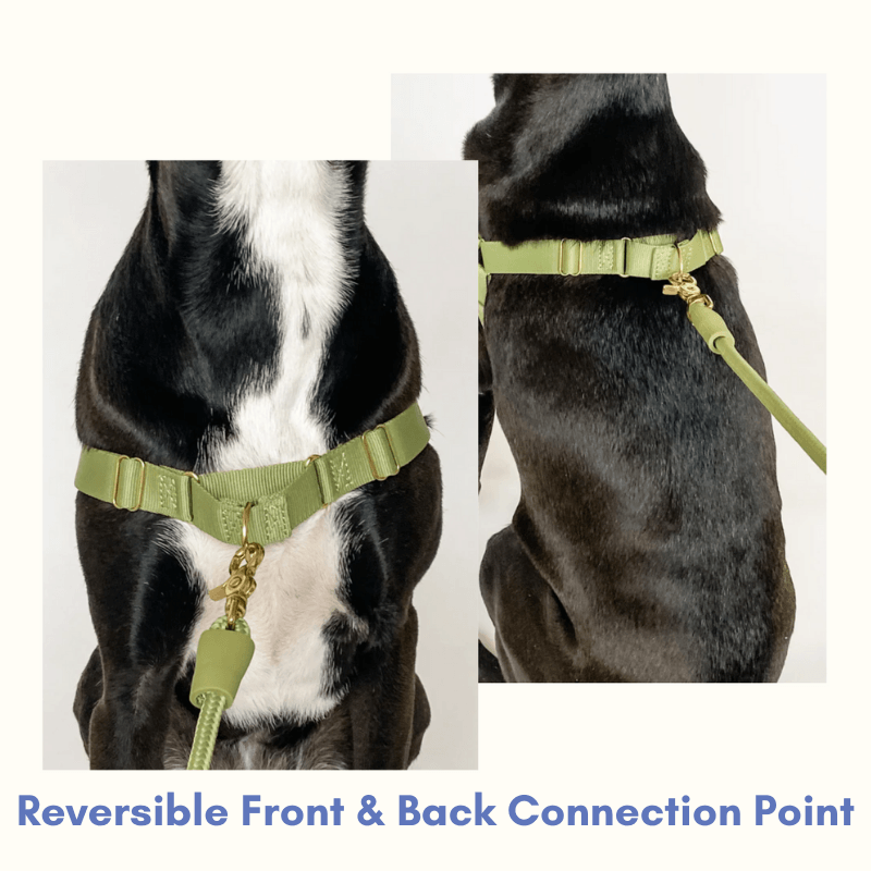 Roam Harness - Black Harness Awoo