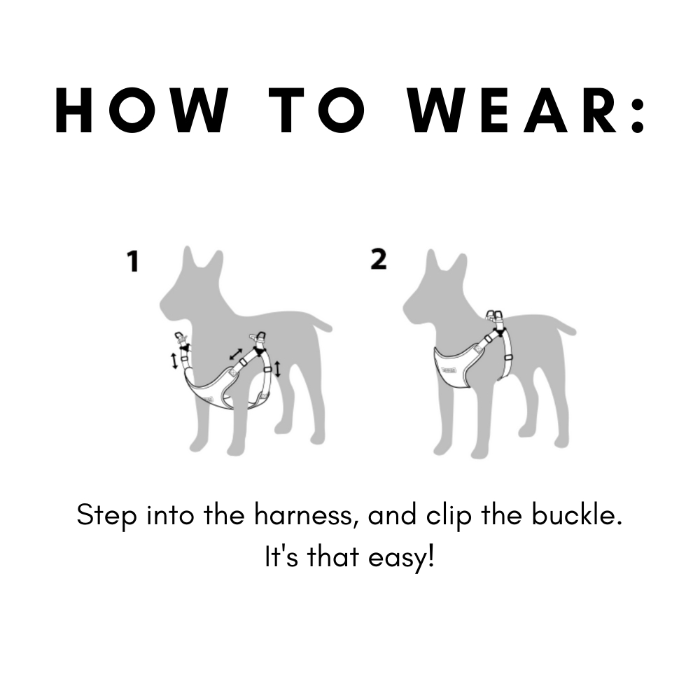 Comfort Harness - Brown Harness Charlie's Backyard