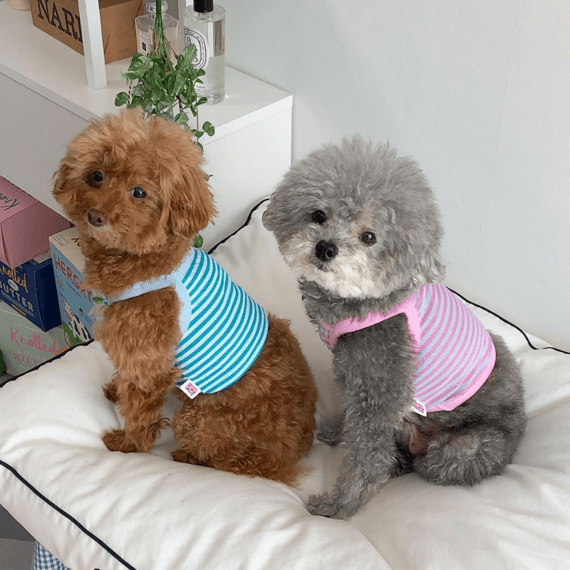 Cool Slush Crop Tank Top - Pink Berry (Pink Blue) Clothing Hey Jerry