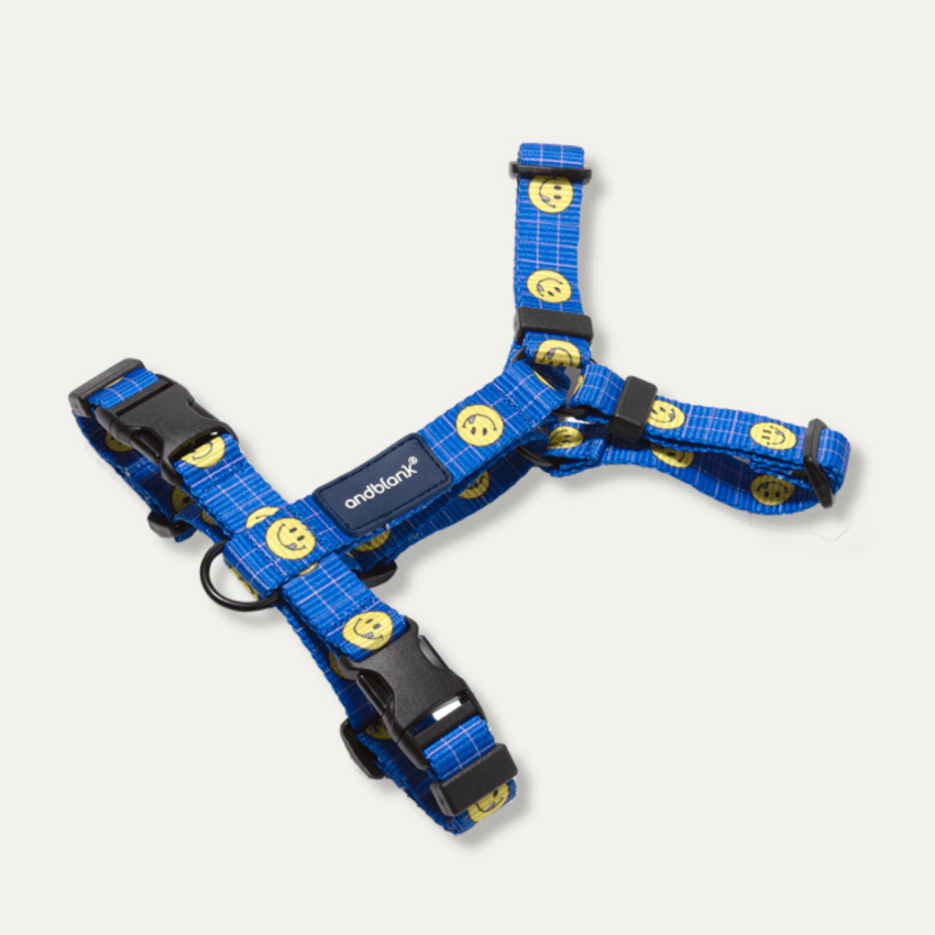 Smiley Face Dog Harness - Blue Harness Andblank