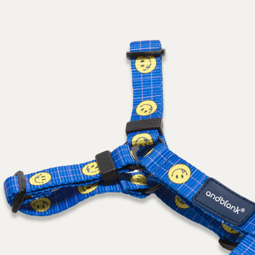 Smiley Face Dog Harness - Blue Harness Andblank