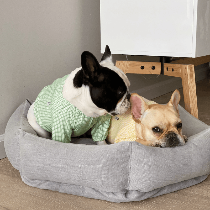 Pumpkin Crop Top - Yellow Clothing Dentists Appointment