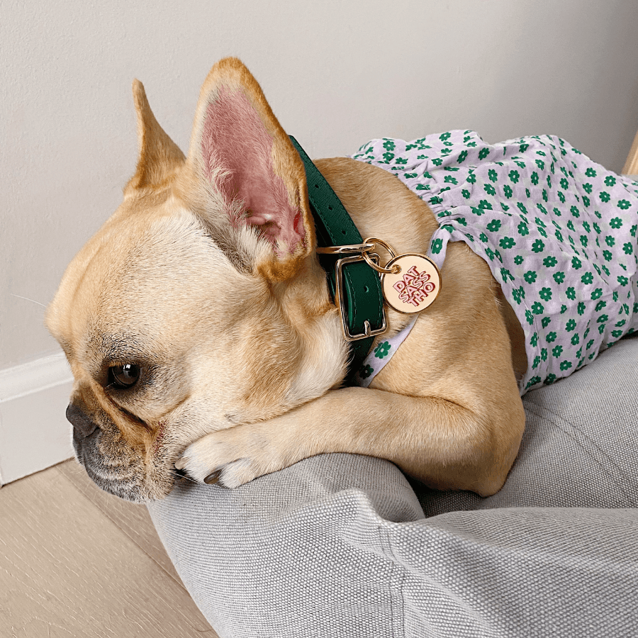 Dat Sass Tho ID Tag (Free Custom Engraving!) Charms Trill Paws