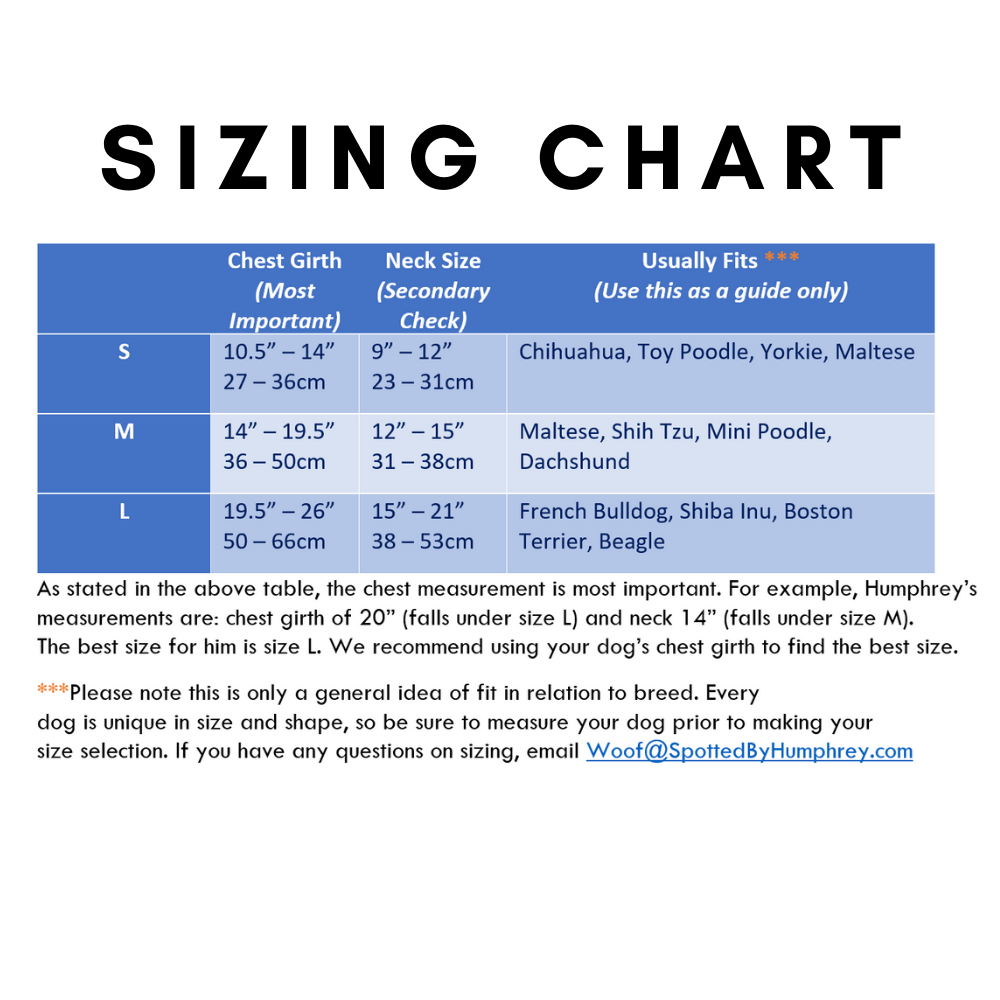 Comfort Harness - Black Harness Charlie's Backyard