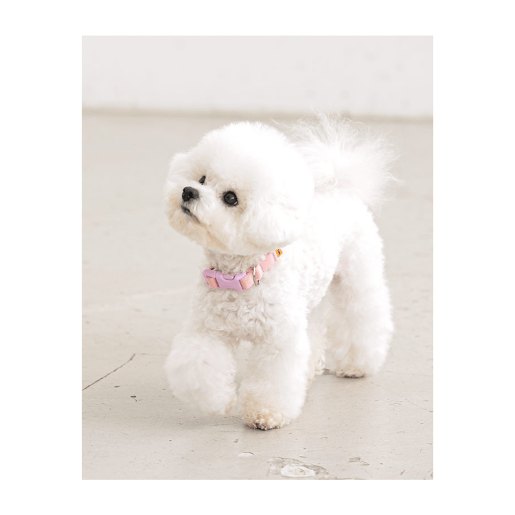 Candy Crayon Leash - Light Pink Leash Bite Me